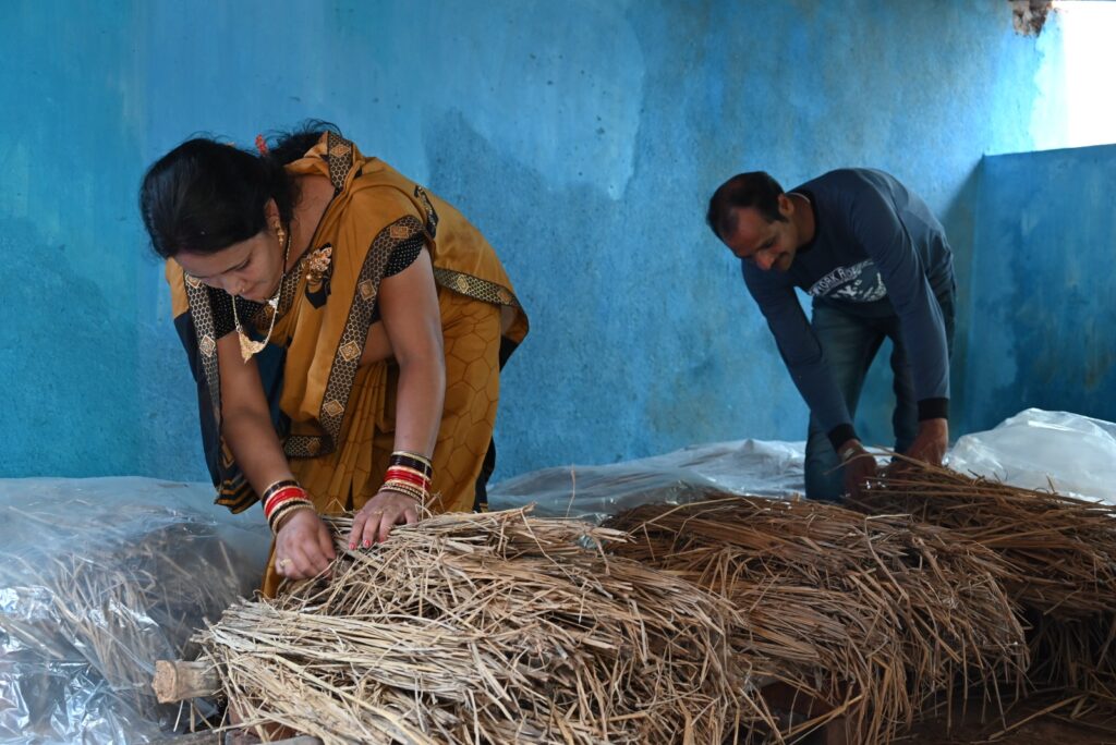 ଲକି ହୋତା: ଗୃହିଣୀରୁ ପୁରସ୍କାରପ୍ରାପ୍ତ ଛତୁ ଚାଷୀ