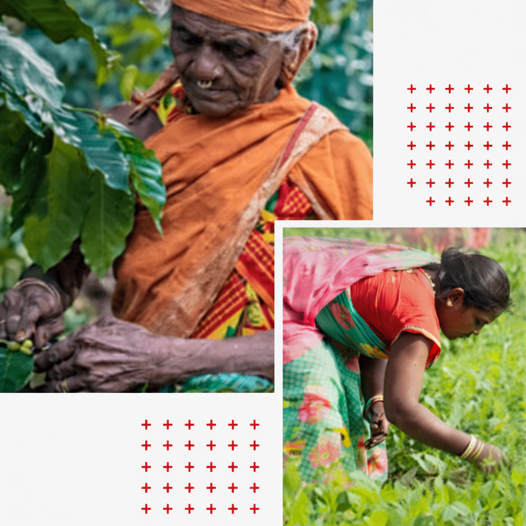 Vision & Mission Image